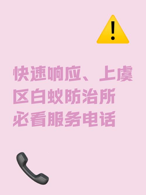 上虞区白蚁防治服务指南 一站式解决从预防到应急