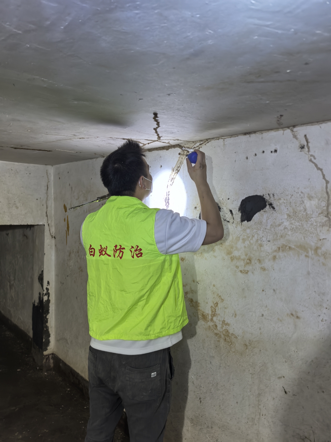 桐庐县白蚁防治所24小时官方服务指定合作单位 守护家园，专业高效